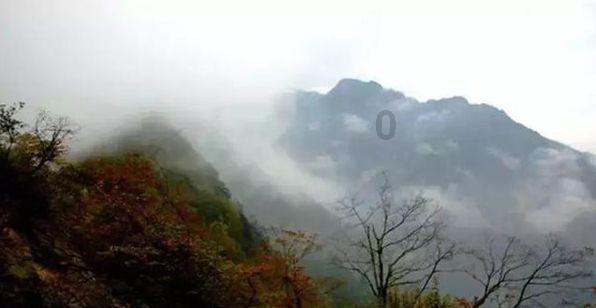 猫冬请来张家界｜绝美雾凇上线！张家界七星山景区雾凇美不胜收