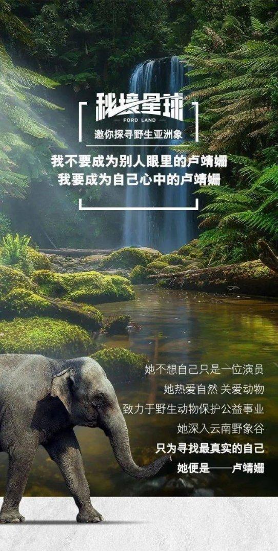 探探猫拼图