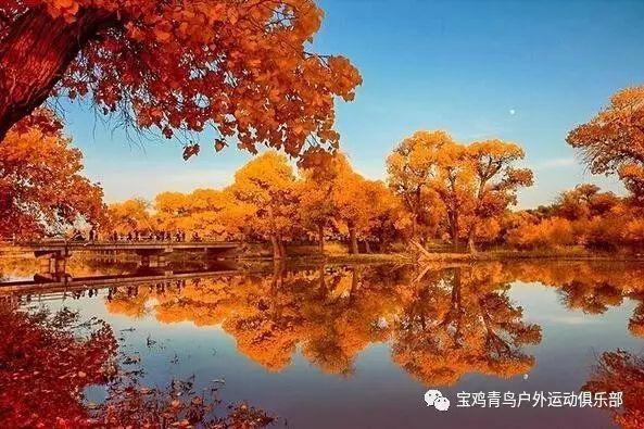僵尸吃怪物
