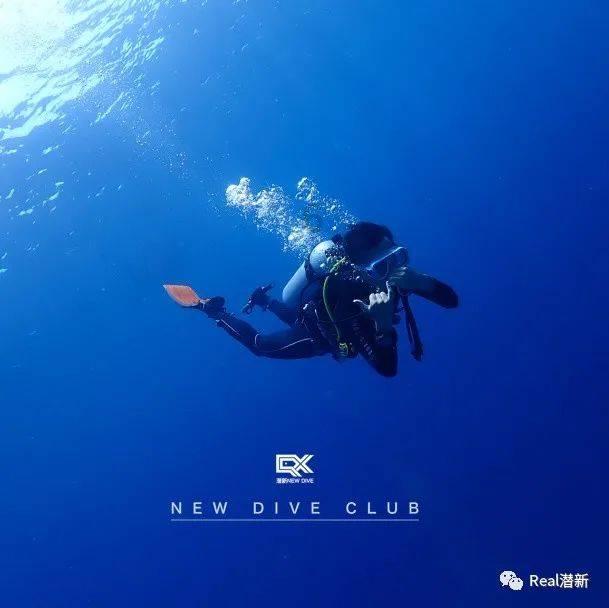 纪实齐秦与王祖贤恋十五年,却负于王祖贤