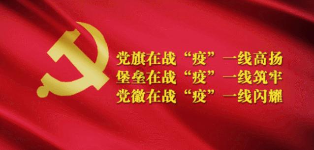 组装机械机甲暴龙2