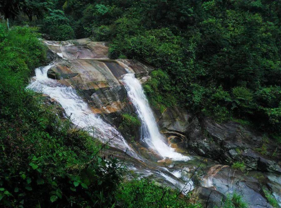 逃出林中村