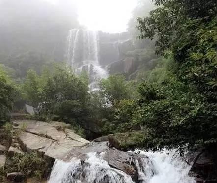 青岛高新区：动力激荡 向“新”而行